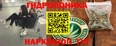 прущие грибы Лесосибирск