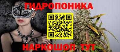 прущие грибы Лесосибирск