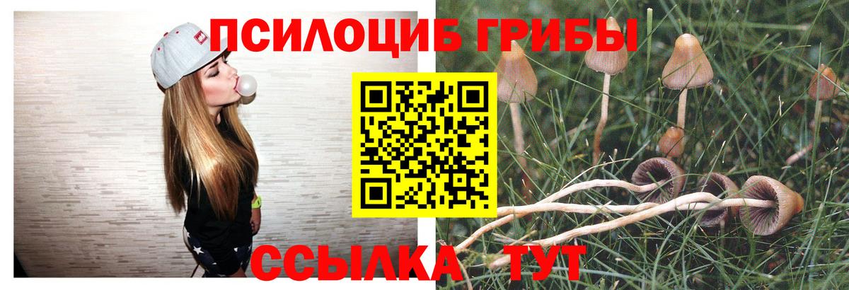 Воткинск  Галлюциногенные грибы GOLDEN TEACHER  Вход с VPN 